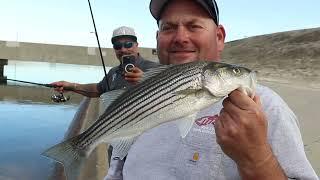 Reel Angler Striper Fishing in Bakersfield Aqueduct