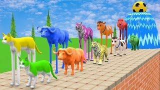 Long Slide Game With Elephant Gorilla Buffalo Hippopotamus Tiger - 3d Animal Game - Funny 3d Animals