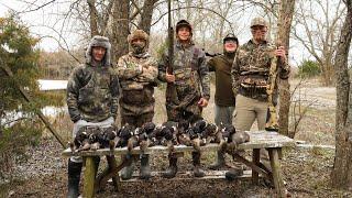 Ducks on Ice in Texas 