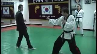 Hapkido Fighting Techniques