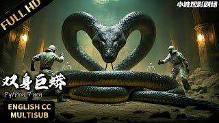 【FULL】An archaeological expert encounters twin eternal pythons while exploring an ancient tomb!