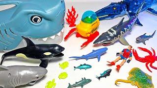 New Shark Sets - Goblin Shark, Great White Shark, Megalodon, Bull Shark, Tiger Shark, Thresher Shark