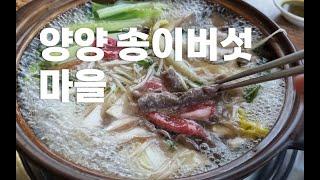 양양가면 꼭들르는집 양양 송이버섯마을 한우샤브샤브 버섯탕수육 칼국수 죽  #koreanfood #salaryman #양양맛집 #버섯요리 #양양