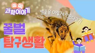 Bee Exploration Life│Science Story Episode 7