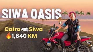 I'm Riding Solo 1,640km into the Sahara Desert | Egypt Vlog 189 | هسوق لوحدي مسافة ١٦٤٠كم في الصحراء