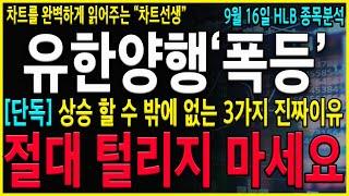 [유한양행 주가 전망] "긴급" 폭등하는 3가지 진짜이유 준비했습니다. 절대로 "이 가격" 전까지는 흔들리지말고 굳건하게 밀고 나가셔야 합니다! #유한양행 #유한양행주가전망