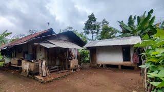 Suasana Kampung Terpencil Di Tengah Hamparan Kebun Teh Yang Jauh Dari Perkotaan. Pedesaan Jawa Barat