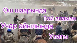 Ош шаарында Учар айылында той аламан улак