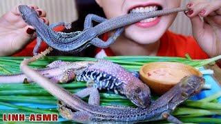 Why Lizards Are Superior to Mammals