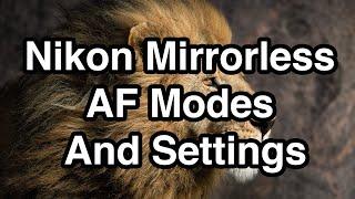 Nikon Mirrorless AF Modes And Settings