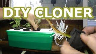 Homemade Hydroponic Cloner