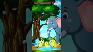 " Big elephant, tiny birds, and a lesson for everyone!"️#shorts
