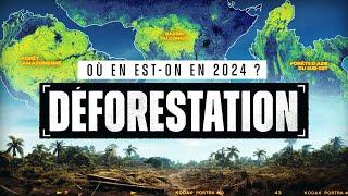 Comprendre la DÉFORESTATION en 2024 (en 15 min)