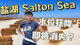 Salton Sea 加州最大咸水湖，两年水位狂降100米，它还能存在多久？｜VLOG【小武游记】