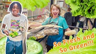 So Fresh and So Green!: Putnam's Farm to Table w/ Hydroponics