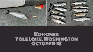 Fall Kokanee Fishing Yale Lake Washington #lake #fishing #trolling