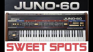 Roland Juno 60 - sweet spots