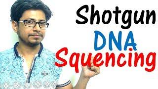 Shotgun sequencing method explained