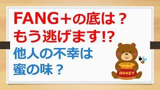 FANG+の底は？　もう逃げます!?　他人の不幸は蜜の味？　【有村ポウの資産運用】250307