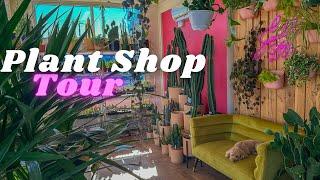 Lush Houseplant Shop Tour! Go House Plant Shopping With Me 