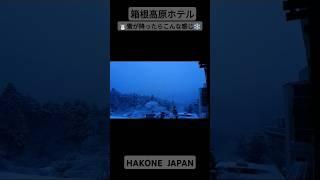 箱根高原ホテル　びっくり雪が降ったらこんな感じ　#shorts #箱根 #箱根湯本 #hakone #箱根登山鉄道 #伊勢正三 #かぐや姫 #箱根ロープウェイ #芦ノ湖 #箱根旅行 #元箱根　#雪