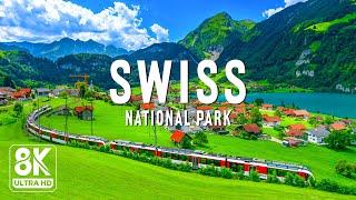 Swiss National Park 8K UHD - Explore Earth’s Paradise: A Land of Stunning Scenic Beauty