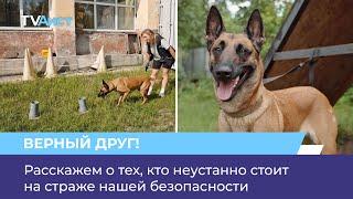 Расскажем о тех, кто неустанно стоит на страже нашей безопасности