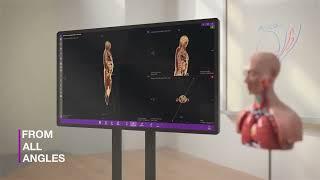 Athena Hub - Virtual Cadaver Anatomy Lab - Medical Harbour | Warem