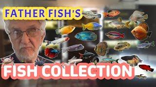 Father Fish's Fishy Friends: Gouramis, Puffers, Gobies, Discus, Tetras, Uarus, & More