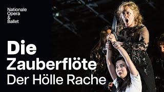 Rainelle Krause sings 'Der Hölle Rache' in Die Zauberflöte | Dutch National Opera