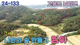 24-133[땅이야기TV] 소액으로 나만의 숲 만들기 좋은 임야매매 6천만원 18,318㎡(5,541평) 임야의 평균 경사도15도미만 임업경영등록 하실분  고흥군 남양면 임야매매