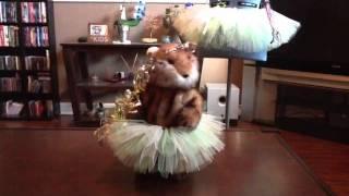 Dancing Tutu