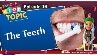 The Teeth - World of Kids Episode 16 | Madani Channel English