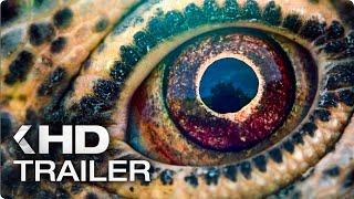 VOYAGE OF TIME Trailer German Deutsch (2018)