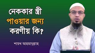 নেককার স্ত্রী পাওয়ার জন্য করণীয় কি? Shaikh ahmadullah | bdhr media