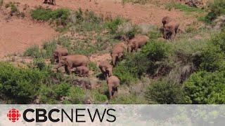 Biodiversity agreement reached at Montreal COP15 conference