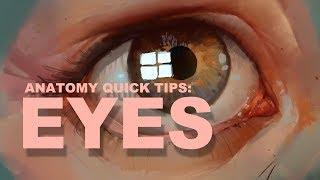 Anatomy Quick Tips: Eyes