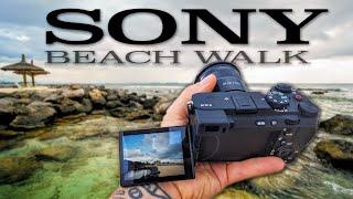 BEST Compact Travel Camera? Sony A7Cii & ZV-E1