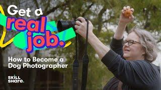 How Jen Hillenga Became a Dog Photographer | Get a Real Job