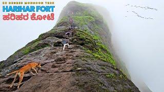 Harihar Fort Climbing & Trimbakeshwar ಜ್ಯೊತಿರ್ಲಿಂಗ ಕನ್ನಡ vlog