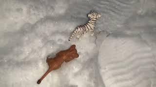 A Tiger Story | Part 12 | Schleich