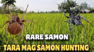 NANG HULI AKO NG SAMON SPIDER, PAANO MANG HULI NG SAMON NA GAGAMBA?