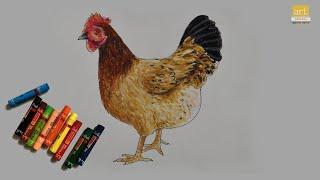 How to draw Hen II Hen Drawing II By Art JanaG