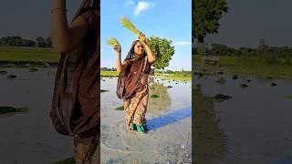 #trending #shorts #viral #youtubeshorts #reels #funny #comedy #Brijesh Patel