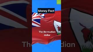 Uncover Bermuda's national pride on the one-dollar coin! #moneyfacts #shorts #bermuda