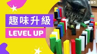 【經典桌遊！54片疊疊樂】趣味升級 LEVEL UP!