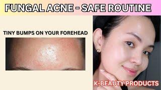 Fungal Acne Safe Korean Skin Care Routine 2024 | Prevent tiny bumps on your forehead 