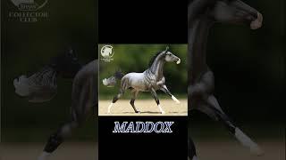 A First Look At Breyer Horse's 2025 Collector Club Models!!  Meet Maddox & Darius!