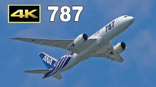 [4K] 22 Jets Plane Spotting Boeing 787-8/9/10 Dreamliner / ボーイング787-8/9/10 / Fairport