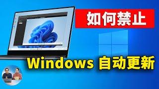 如何禁用 Windows 10 / 11 的自动更新！以防电脑系统被微软强制升级（2024） | 零度解说